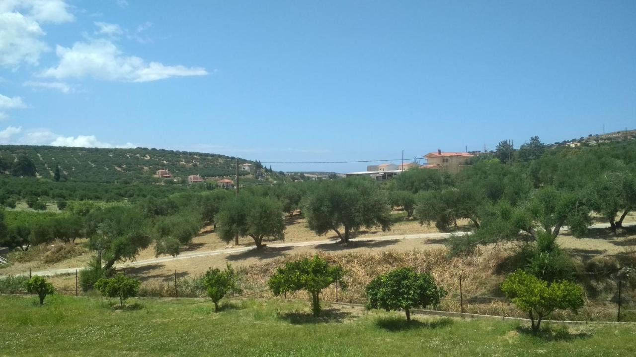 Eden Garden * Skalanion
