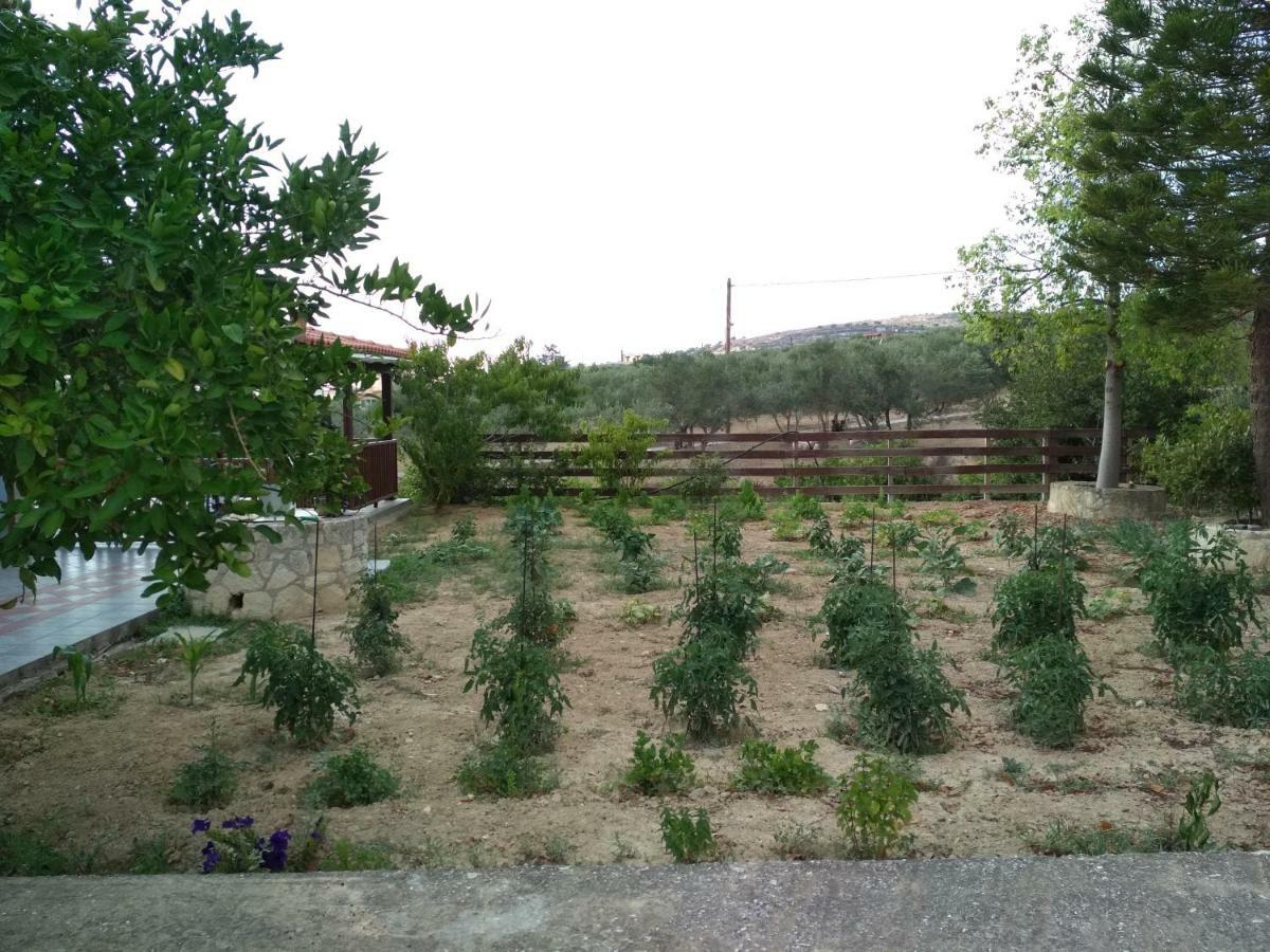 Eden Garden * Skalanion