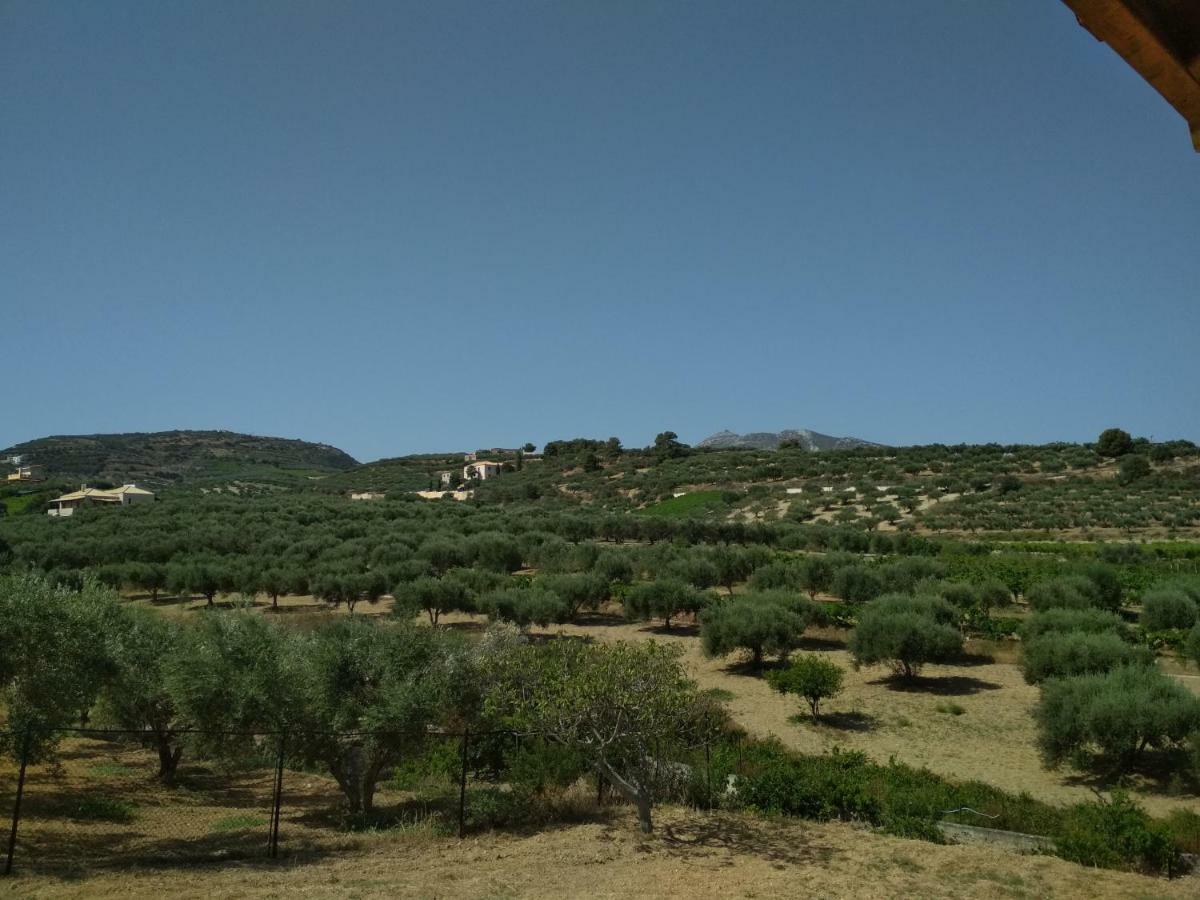 Eden Garden Near Knossos