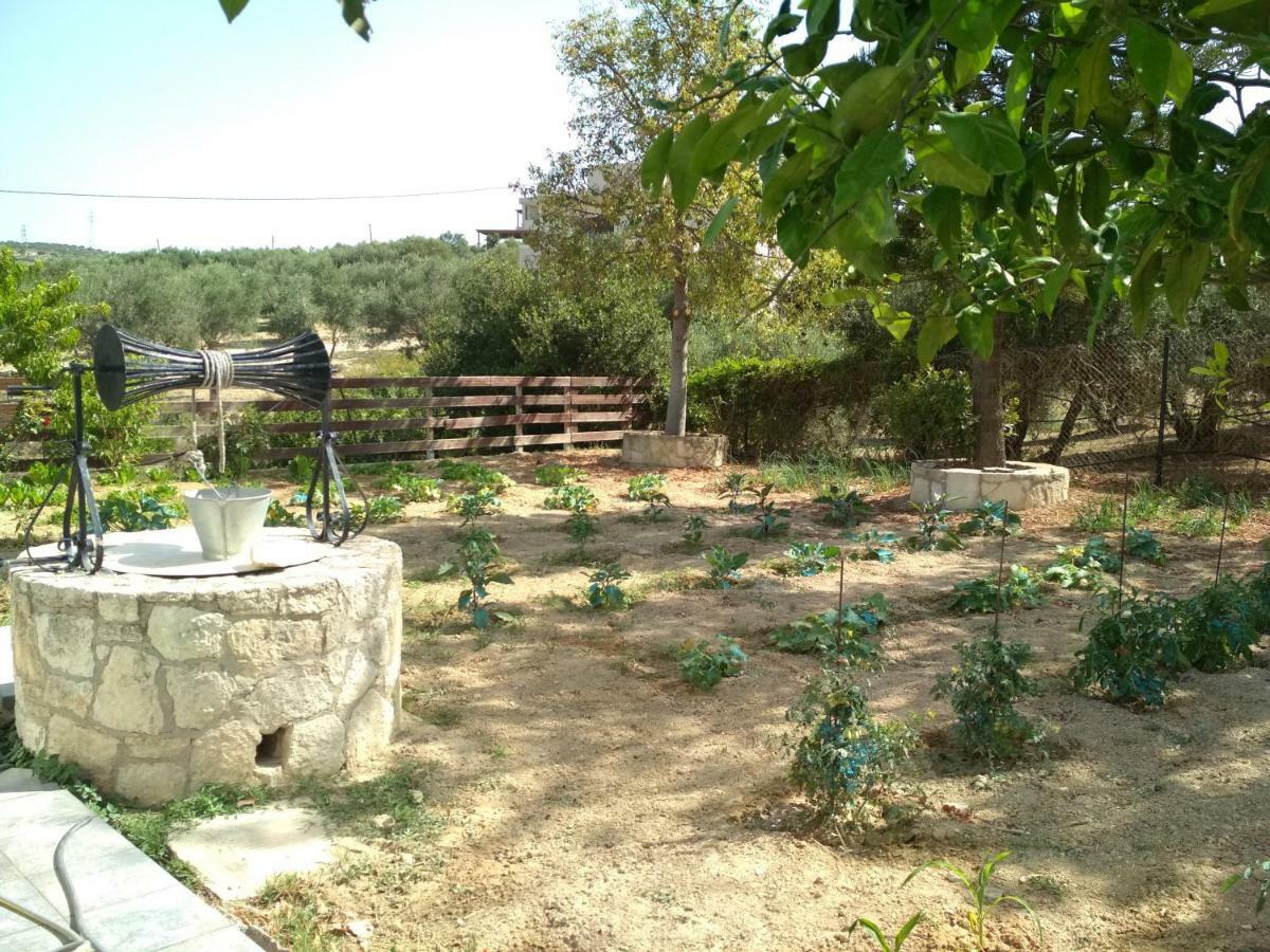Eden Garden Near Knossos