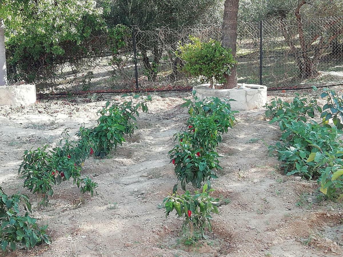 Casă la țară Eden Garden Near Knossos *